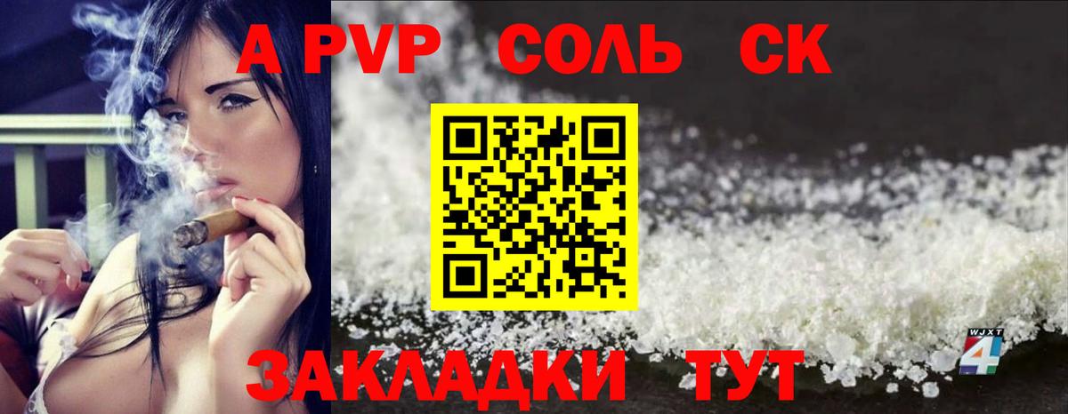 A PVP СК КРИС Новоалтайск