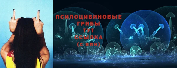 соль курить ск Алексеевка
