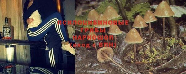 экстази Алексин