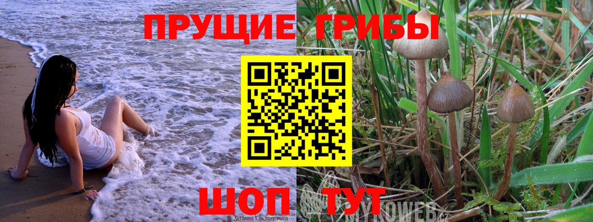 Новоалтайск  Псилоцибиновые грибы Magic Shrooms  Псилоцибиновые грибы Psilocybe  Вход с VPN 