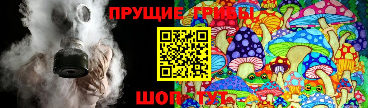 Галлюциногенные грибы Psilocybine cubensis Новоалтайск